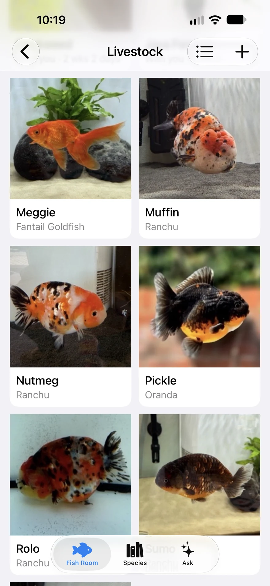 Aquary livestock gallery with named fish